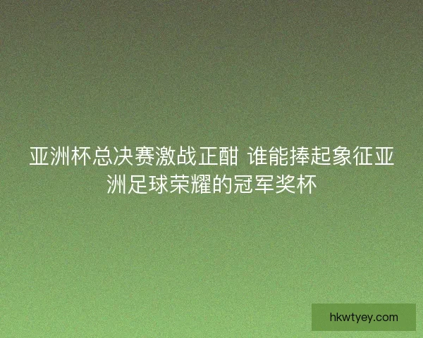 亚洲杯总决赛激战正酣 谁能捧起象征亚洲足球荣耀的冠军奖杯