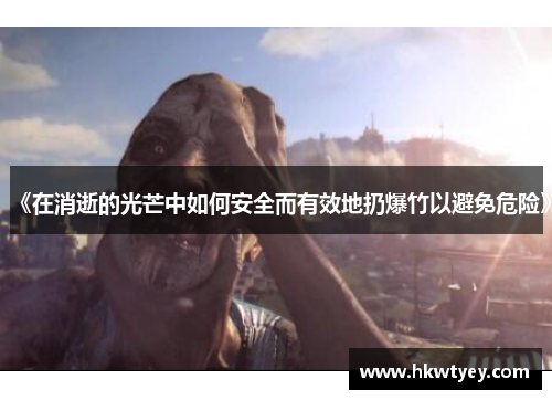 《在消逝的光芒中如何安全而有效地扔爆竹以避免危险》
