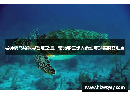 导师骑乌龟探寻智慧之道，带领学生步入奇幻与现实的交汇点