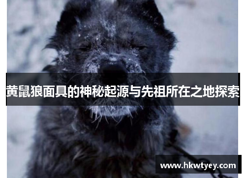 黄鼠狼面具的神秘起源与先祖所在之地探索
